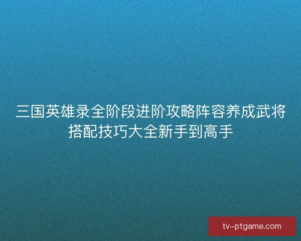 三国英雄录全阶段进阶攻略阵容养成武将搭配技巧大全新手到高手 三国英雄录全阶段进阶攻略阵容养成武将搭配技巧大全新手到高手