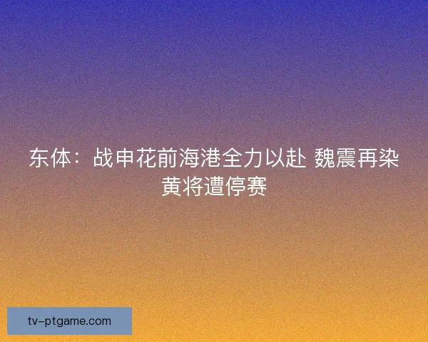 东体：战申花前海港全力以赴 魏震再染黄将遭停赛